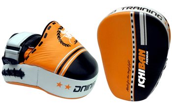 זוג כריות פוקוס עור