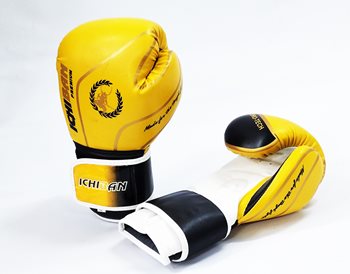 ככפות אגרוף 10 OZ 12 14