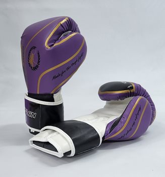 כפפות אגרוף דמוי עור מידות 8-12OZ